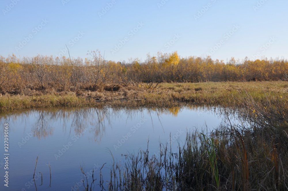 Nature Nature