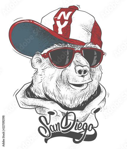 Bear in cap vector print design for t-shirt