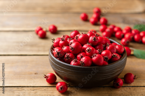 Crataegus or hawthorn berries in ceramic bowl on rustic wooden background. Selective focus.