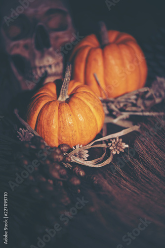 Halloween pumpkins, art pic...