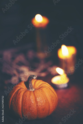Halloween pumpkins, art pic...