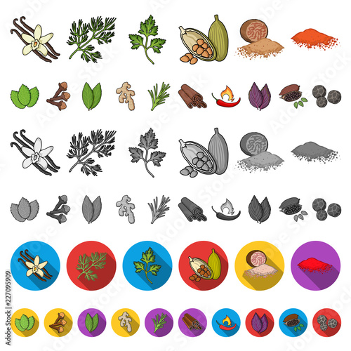 Herb and spices cartoon icons in set collection for design.Different kinds of seasonings vector symbol stock web illustration.