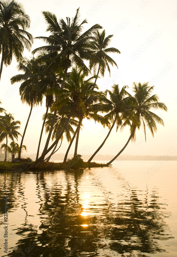  Paddling through Kerala, Kuzhupilly, backwaters at sunset, small tropical islands, palmtrees, golden light