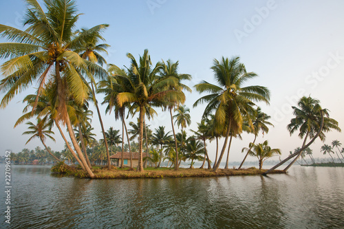 Paddling through Kerala  Kuzhupilly  backwaters at sunset  small tropical islands  huts  palmtrees reflected in water