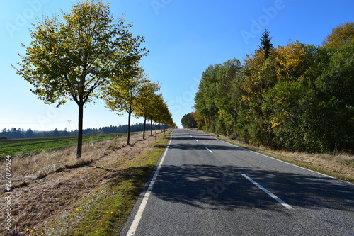 herbstliche Straße in der Eifel photo