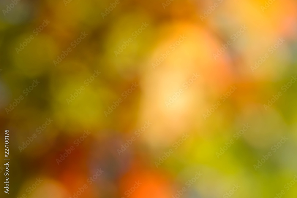 autumn multicolored nature blurred background autumn multicolored nature blurred background
