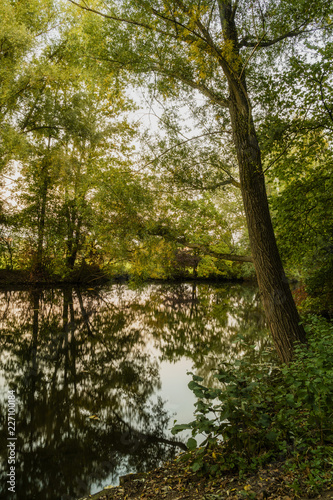 Autumn colors near and in calm river © Venelin