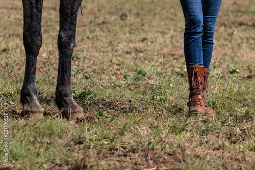 Beautiful slim legs in tight blue jeans. Country cow girl with brown leather boots walking on dry grass  end of season moments. Farm life  stylish woman..
