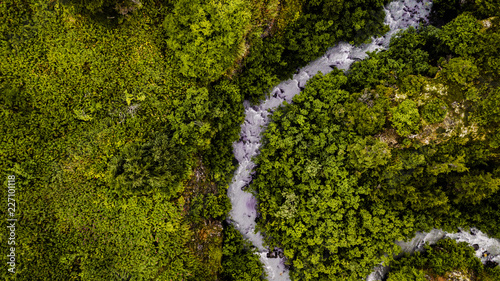 Drone Shot of River in Forest