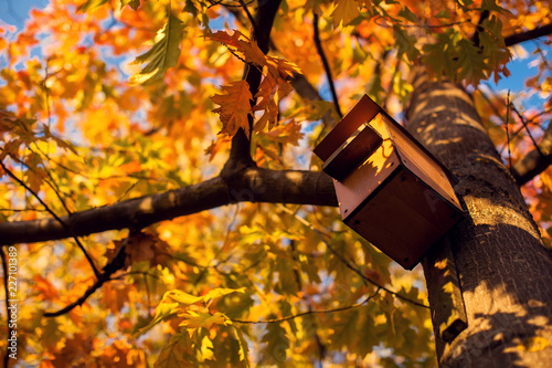 Birdhouse on a tree in autumn park photo