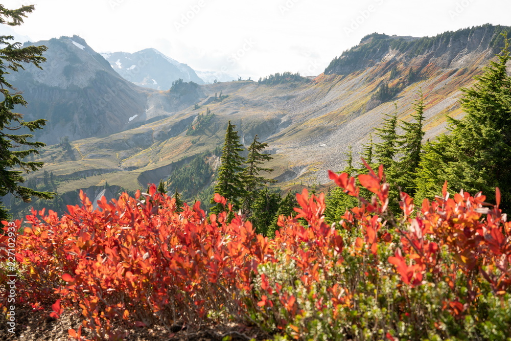 Autumn landscape of snow mountain and plants in Mt. Baker Hwy, Deming, USA Autumn landscape of snow mountain and plants in Mt. Baker Hwy, Deming, USA