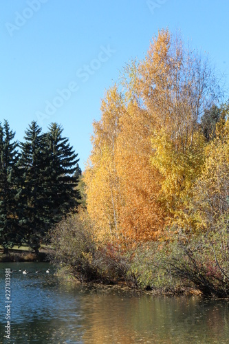 Autumn Colours On The Lake, William Hawrelak Park, Edmonton, Alberta