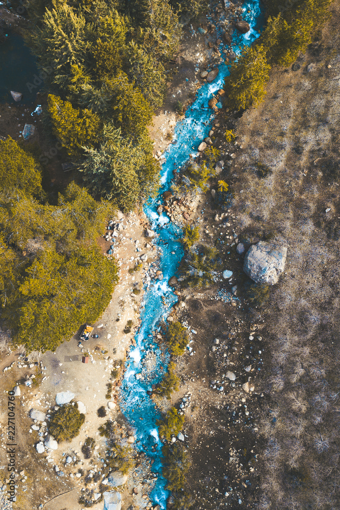 Obraz premium Yerba Loca