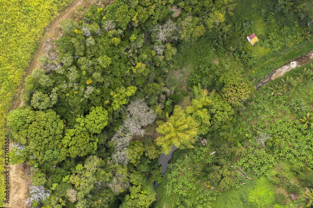 Naklejka premium aérien