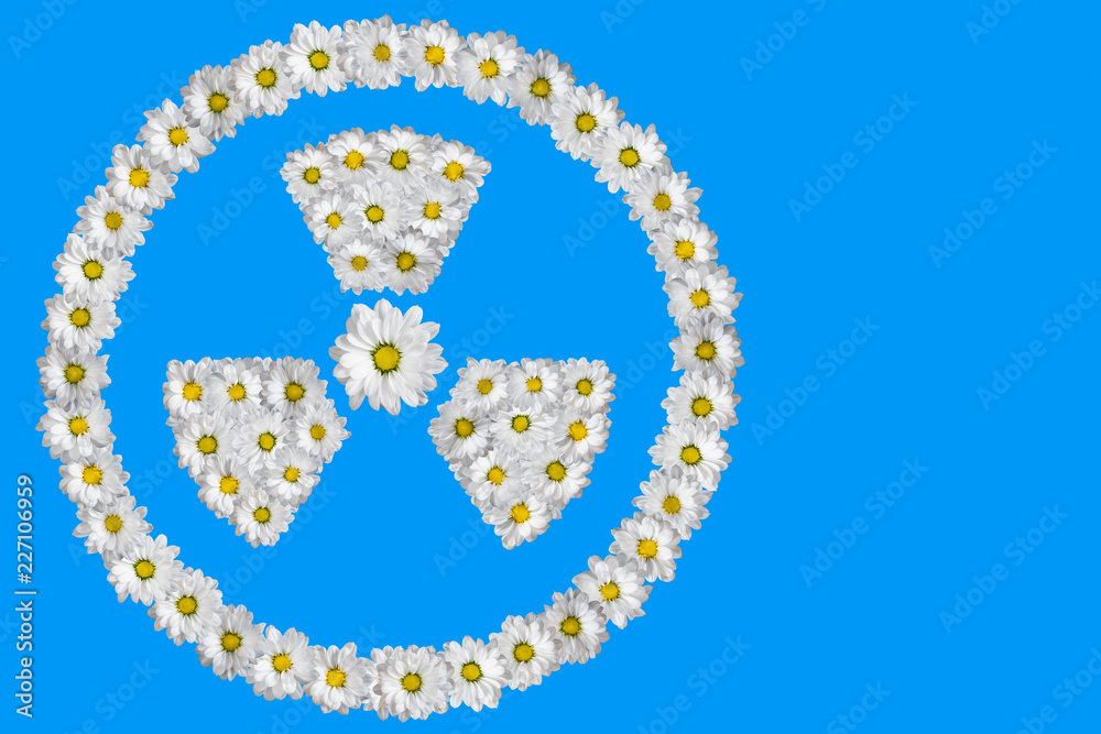 Radiation sign made of white daisies on blue background. Radiation sign made of white daisies on blue background.