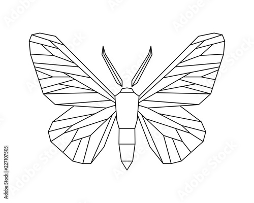 Peppered moth, Biston betularia . Vector icon on white
