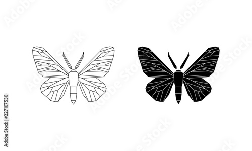 Peppered moth, Biston betularia melanic and light form. Vector illustration isolated on white background.