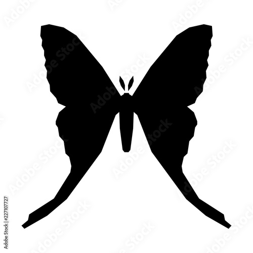 Comet moth vector icon isolated on white. Female photo