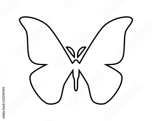 Japanese silk moth stylized vector icon on white