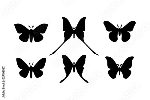 Set of icons of various moth isolated on white