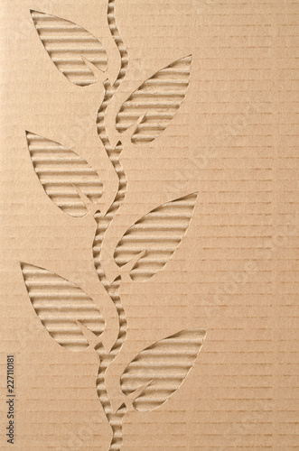   Leaves cut out on a corrugated cardboard 