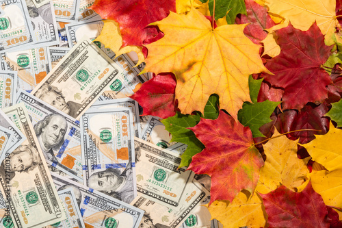 Promotion sale concept background with dollars money and colorful autumn maple leaves