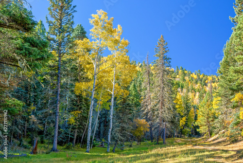 Aspen Valley © Kirk