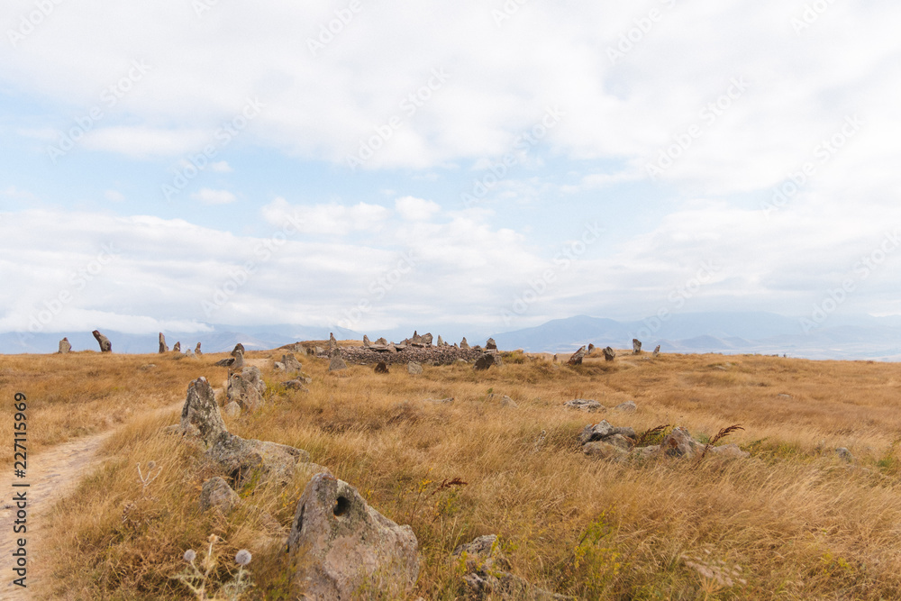 Obraz premium landscape with trees and blue sky