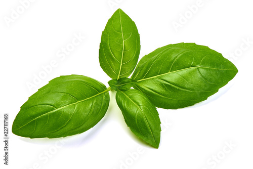 Sweet Green Basil Leaves Herb Spice, closeup, isolated on a white background. Top view.