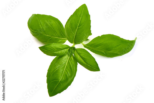 Sweet Green Basil Leaves Herb Spice, closeup, isolated on a white background. Top view.