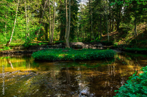 Fototapeta Naklejka Na Ścianę i Meble -  A beautiful small river in the wood