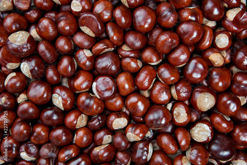 Ripe chestnuts background. Autumn decorations. Autumn concept.