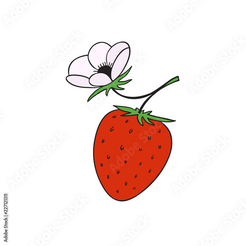 Strawberry print design. Fruit vector illustration