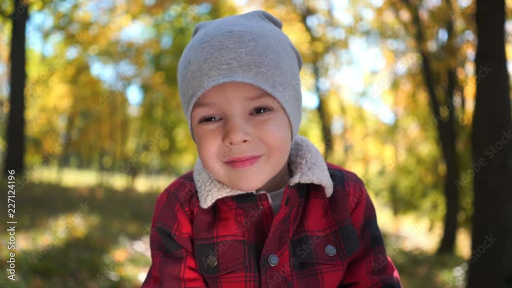 portrait of a happy boy at the autumn park portrait of a happy boy at the autumn park