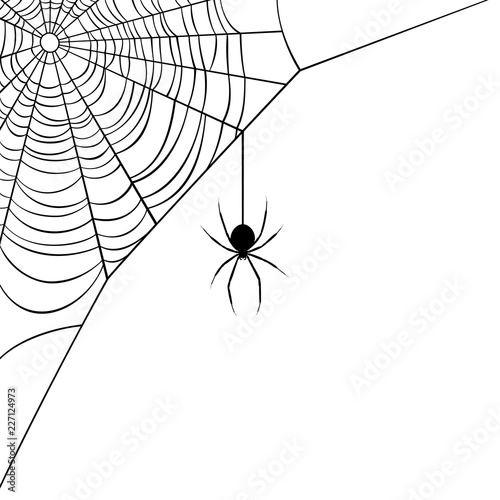 Fotografie, Obraz Vector illustration of a corner web/spider design.