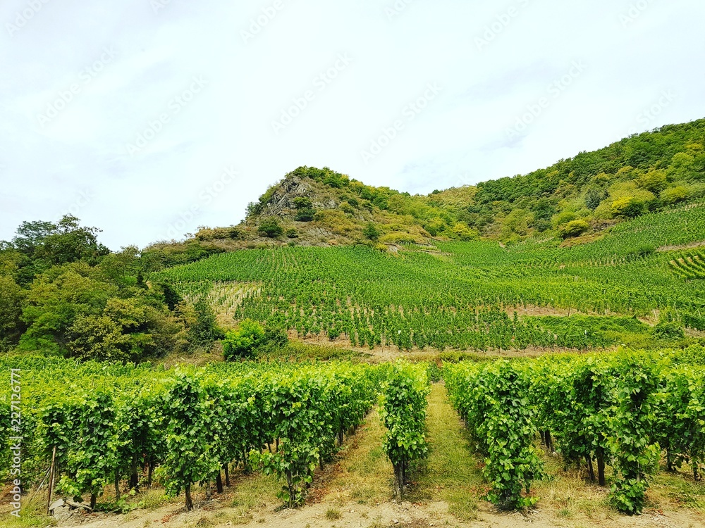 Vallée de l'Ahr et ses vignobles