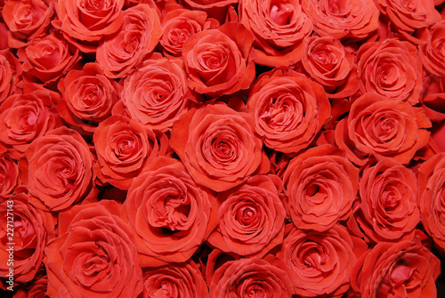 A bouquet of red roses.