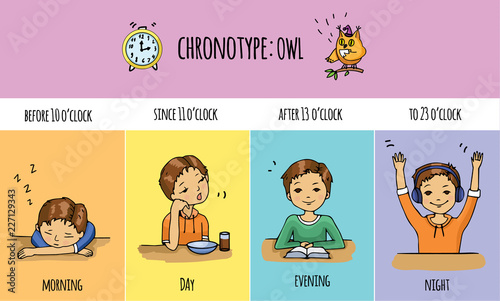 Chronotype of people: dove. Typical of the person's daily activity. Daily regime of skylark. Vector illustration of laverock chronotype. Early morning bird people.