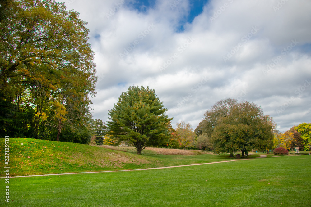 beautiful public park with green lawn and pretty sky