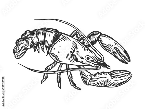 Murais de parede Lobster sea animal engraving vector illustration