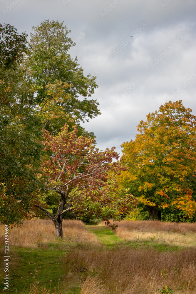 path in the hay in new england fall / autumn path in the hay in new england fall / autumn
