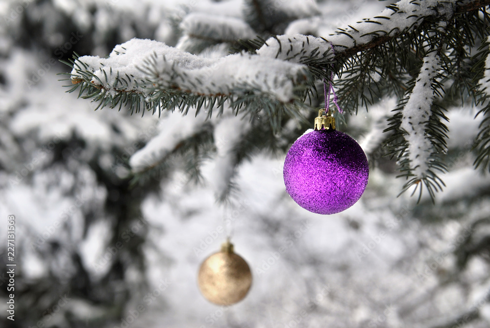 Lilac and golden Christmas balls on snowy fir branches.