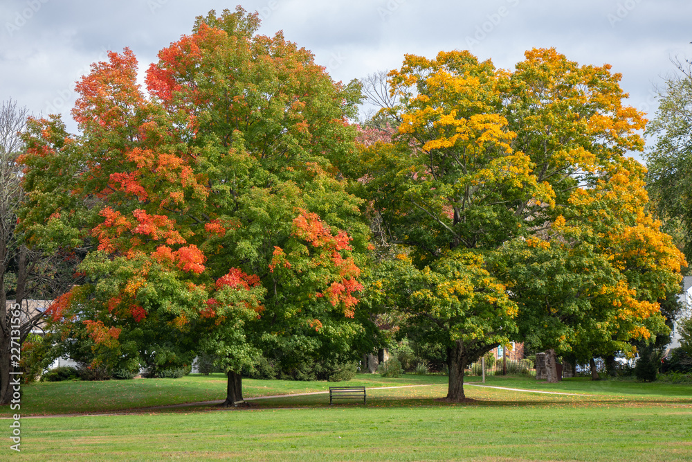 Naklejka premium foliage in new england with bench