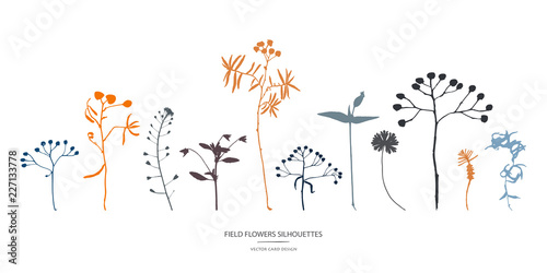Vector silhouettes collection. Set of field flowers, herbs.