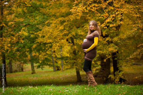 Beautiful pregnant woman outdoor in park on autumn afternoon with vibrant nature colors in background