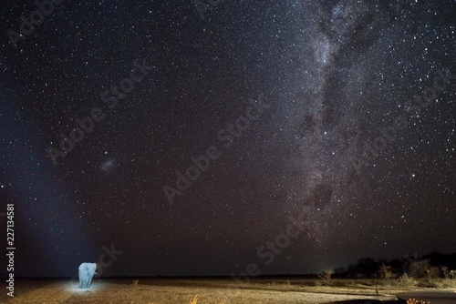 african elephant walking in savannah under a complete starry night with a magnificient milky way and the small magellan cloud
