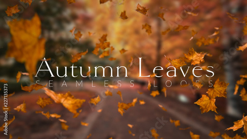 Autumn Leaves Title