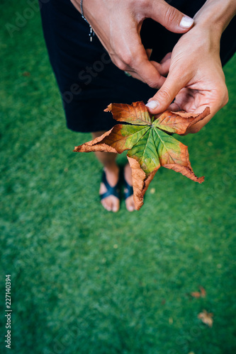 Woman hold nice yellow leaf in hand. photo