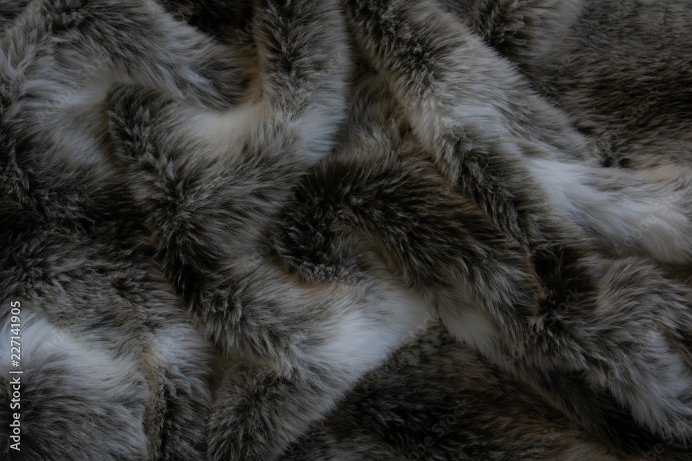 Close up of a fur blanket - obrazy, fototapety, plakaty 