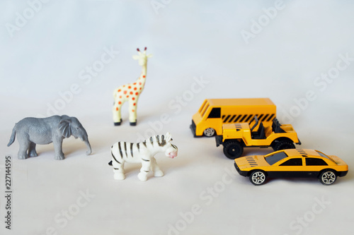 Cars near African animals. Danger on the road while traveling or safari